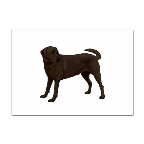 BW Chocolate Labrador Retriever Dog Gifts Sticker A4 (100 pack) from UrbanLoad.com Front