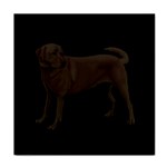 BB Chocolate Labrador Retriever Dog Gifts Tile Coaster