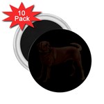 BB Chocolate Labrador Retriever Dog Gifts 2.25  Magnet (10 pack)