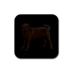 BB Chocolate Labrador Retriever Dog Gifts Rubber Square Coaster (4 pack)