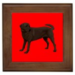 Chocolate Labrador Retriever Dog Gifts BR Framed Tile