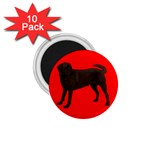 Chocolate Labrador Retriever Dog Gifts BR 1.75  Magnet (10 pack) 