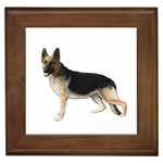 German Shepherd Alsatian Dog Gifts BW Framed Tile