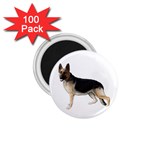 German Shepherd Alsatian Dog Gifts BW 1.75  Magnet (100 pack) 