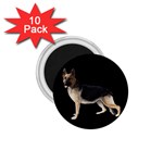 German Shepherd Alsatian Dog Gifts BB 1.75  Magnet (10 pack) 