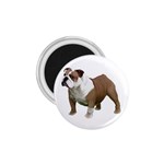 British Bulldog Gifts BW 1.75  Magnet