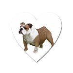 British Bulldog Gifts BW Magnet (Heart)