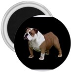 British Bulldog Gifts BB 3  Magnet