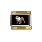 British Bulldog Gifts BB Gold Trim Italian Charm (9mm)