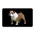 British Bulldog Gifts BB Magnet (Rectangular)