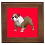 British Bulldog Gifts BR Framed Tile