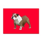 British Bulldog Gifts BR Sticker A4 (10 pack)