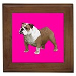British Bulldog Gifts BP Framed Tile