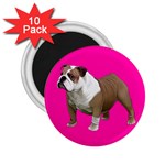 British Bulldog Gifts BP 2.25  Magnet (10 pack)