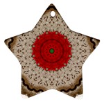 Red Center Doily Ornament (Star)