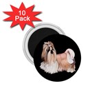 Shih Tzu Dog Gifts BB 1.75  Magnet (10 pack) 