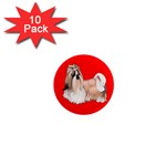 Shih Tzu Dog Gifts BR 1  Mini Magnet (10 pack) 