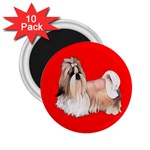 Shih Tzu Dog Gifts BR 2.25  Magnet (10 pack)