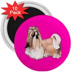 Shih Tzu Dog Gifts BP 3  Magnet (10 pack)