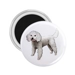 White Poodle Dog Gifts BW 2.25  Magnet