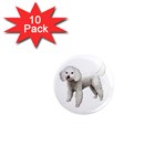 White Poodle Dog Gifts BW 1  Mini Magnet (10 pack) 