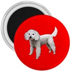 White Poodle Dog Gifts BR 3  Magnet