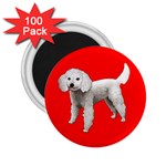 White Poodle Dog Gifts BR 2.25  Magnet (100 pack) 
