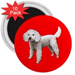 White Poodle Dog Gifts BR 3  Magnet (10 pack)