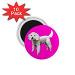 White Poodle Dog Gifts BP 1.75  Magnet (10 pack) 