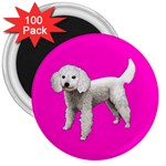 White Poodle Dog Gifts BP 3  Magnet (100 pack)