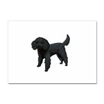 Black Poodle Dog Gifts BW Sticker A4 (100 pack)