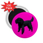 Black Poodle Dog Gifts BP 2.25  Magnet (100 pack) 