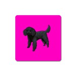 Black Poodle Dog Gifts BP Magnet (Square)