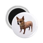 Chihuahua Dog Gifts BW 2.25  Magnet