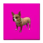 Chihuahua Dog Gifts BP Tile Coaster