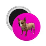 Chihuahua Dog Gifts BP 2.25  Magnet