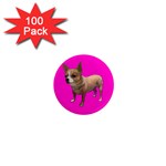 Chihuahua Dog Gifts BP 1  Mini Magnet (100 pack) 