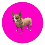 Chihuahua Dog Gifts BP Magnet 5  (Round)