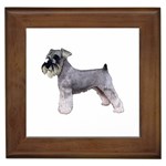 Miniature Schnauzer Dog Gifts BW Framed Tile