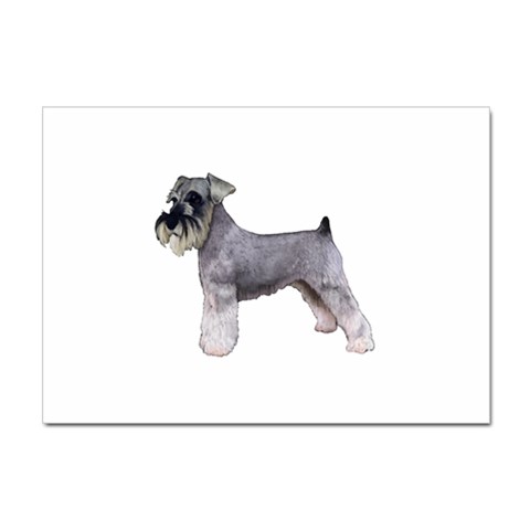 Miniature Schnauzer Dog Gifts BW Sticker A4 (100 pack) from UrbanLoad.com Front