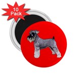 Miniature Schnauzer Dog Gifts BR 2.25  Magnet (10 pack)