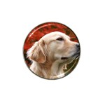 dog-photo cute Hat Clip Ball Marker (10 pack)