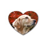 dog-photo cute Heart Coaster (4 pack)