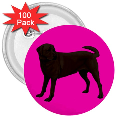 Chocolate Labrador Retriever 3  Button (100 pack) from UrbanLoad.com Front