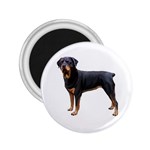 Rottweiler Dog Gifts BW 2.25  Magnet