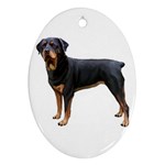Rottweiler Dog Gifts BW Ornament (Oval)