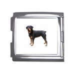 Rottweiler Dog Gifts BW Mega Link Italian Charm (18mm)