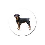 Rottweiler Dog Gifts BW Magnet 3  (Round)