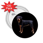 Rottweiler Dog Gifts BB 2.25  Button (100 pack)
