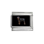 Rottweiler Dog Gifts BB Italian Charm (9mm)